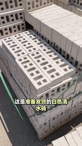 White,red and gray of bricks.size290x100x50(mm)#madeinchina #claybricks #drywall 