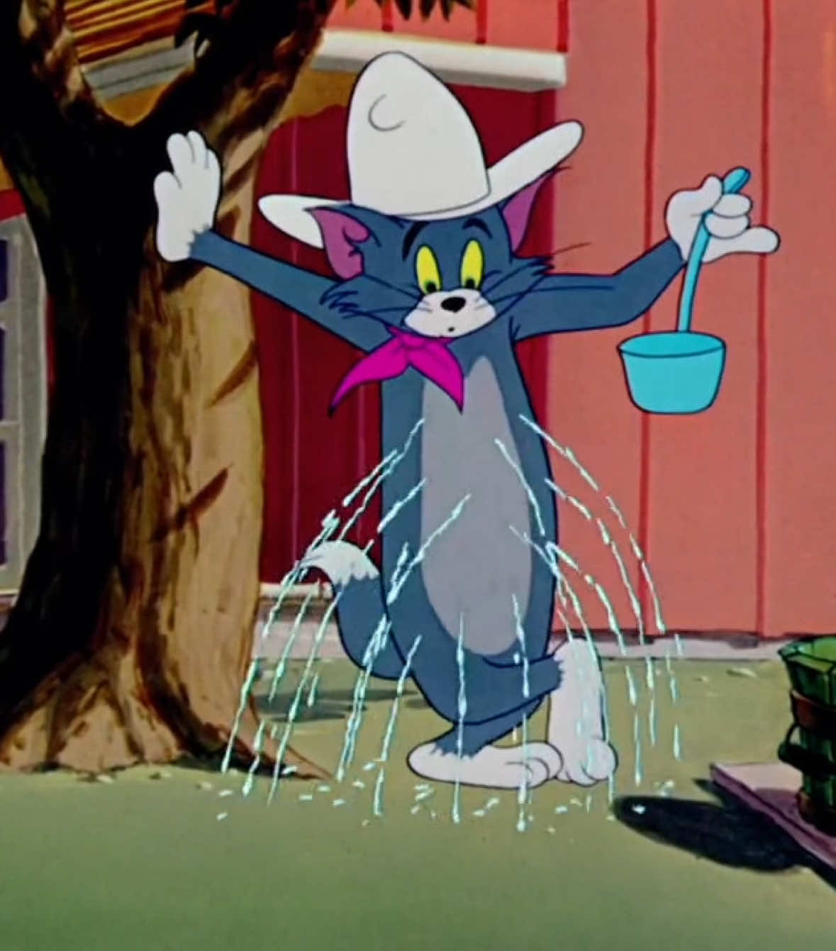 #lovetom #รักทอมมีแฟนทอม🥰🥰🥰 #Jerry#Poor cat Tom and Jerry