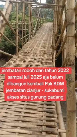 #viral #jembatanroboh 