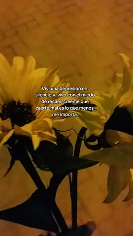 #🫂🌻❤️‍🩹 