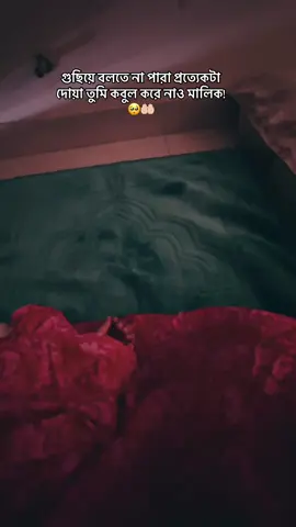 প্রতিটি কথার শেষ এ আল্লাহ ভরসা কথাটার বলার মাঝে ও এক শান্তি উপলব্ধি করা যায় 😊 #CapCut 