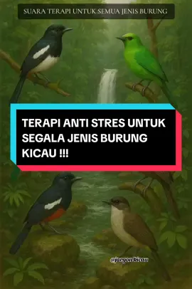 TERAPI AIR UNTUK SEGALA JENIS BURUNG. PASTI BERGUNA (SAVE AJA DULU) UNTUK DULUR KUCAU MANIA #suaraterapi #terapimurai #terapiburung #antistres #muraibatu #CapCut 