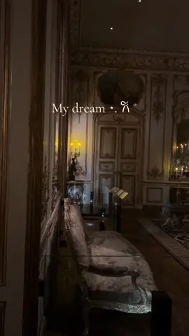 #metropolitanmuseumofart #victorian #monarchera #renaissance #wealth #nyc 