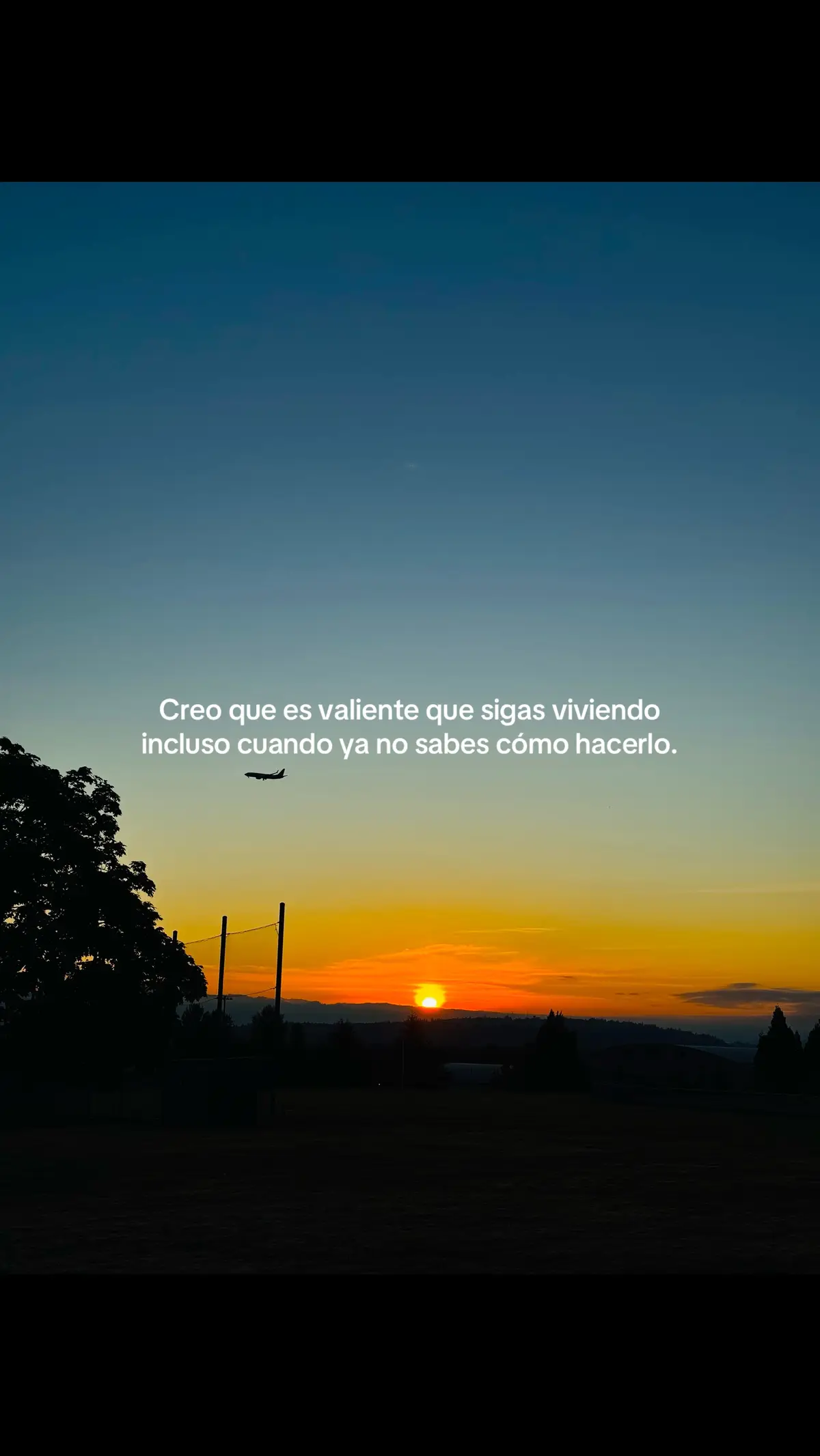 #fyp #fypシ゚viral 