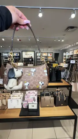 NEW ARRIVALS💯 worldwide shipping🇺🇸 get your hands on the latest Coach bags!