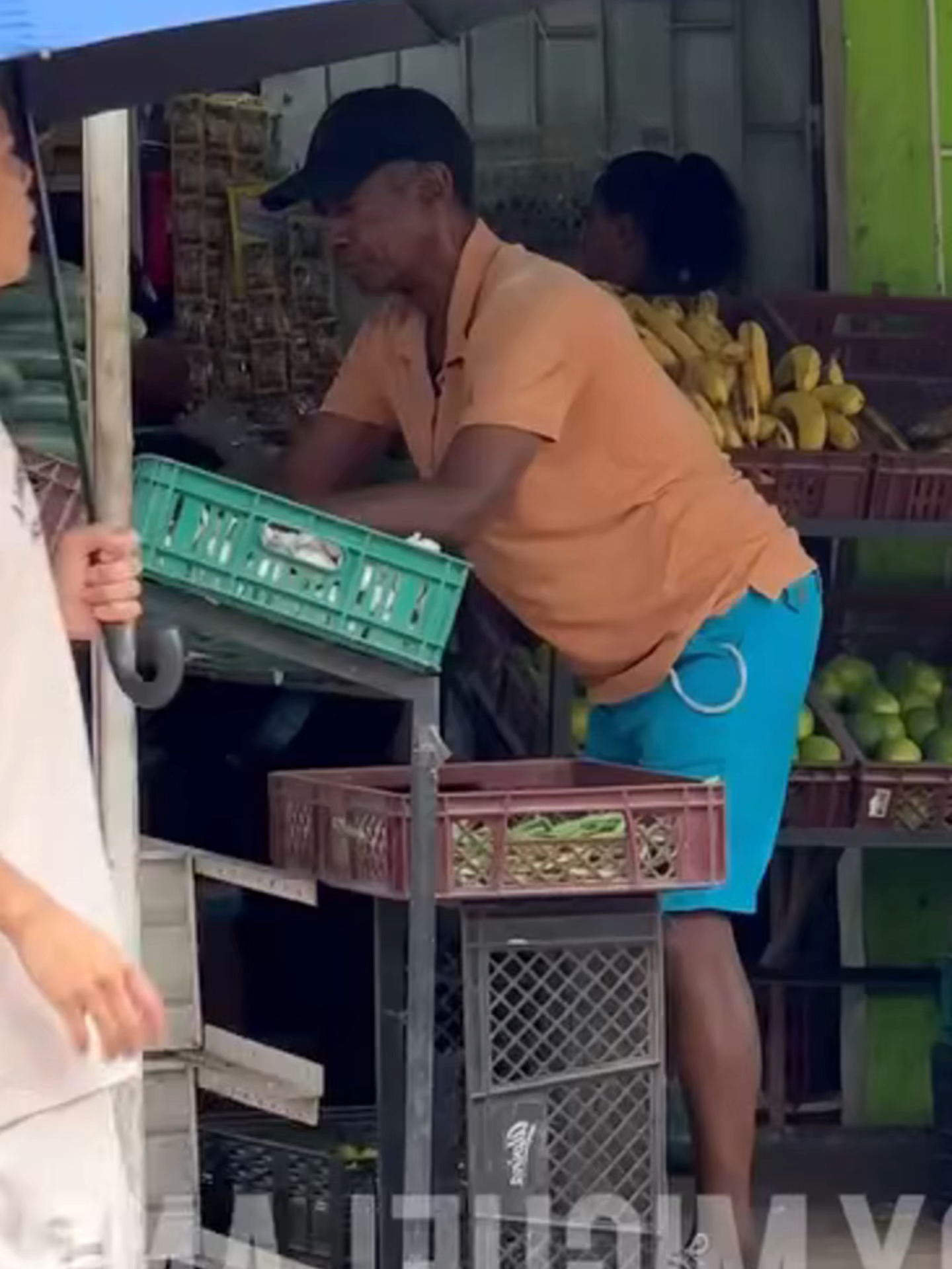 The basket disappeared 🧺😂