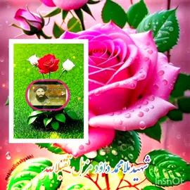 #پښتون_تاجیک_هزاره_ازبک_زنده_باد🇦🇫 #viralvideo #football #🌹🌹🌹 