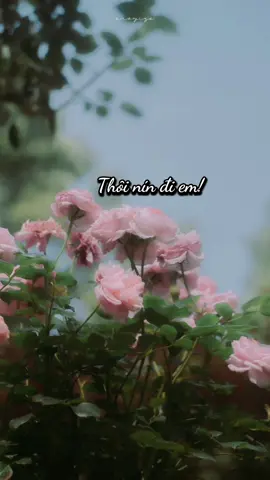 Tình yêu có thể đến chỉ trong một cái chớp mắt nhưng để quên đi có lẽ phải dùng cả cuộc đời. Dù biết như thế nhưng con người luôn khao khát tình yêu, thậm chí từ ngàn dặm xa xôi truy đuổi tình yêu, muốn kết thúc một đoạn tình duyên trong kiếp này. Để thanh xuân không hối không tiếc. Có điều tình yêu cần trao ra, cần gánh vác, dù phụ bạc cũng phải nhẫn nhịn, dù phản bội cũng cần khoan dung.  Dẫu một ngày kia có thể mất đi, dùng thời gian hoài niệm, cũng sẽ không thấy nặng nề mệt nhọc. Tình yêu như thế mới được xem là tình yêu chân chính. Cre Bạch Lạc Mai #nhactamtrang #cảnhđẹpthiênnhiên #trietlycuocsong #tinhyeu #xuhuong  @🍃 Hương Mùa Hè 🍃  @🍃 Hương Mùa Hè 🍃  @🍃 Hương Mùa Hè 🍃 