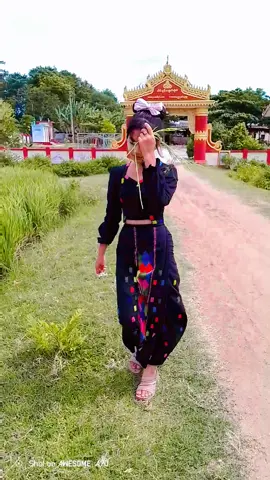 #စပါးခင်းကြီးလှနေလို့🌾🌾🌾 #ရောက်စမ်းfypပေါ်😒myanmartiktok 