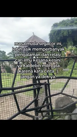 #tiffel #tiffelid #katakata #storywa #storytime #fyp #reminder #4u #fypage #xybca #viraltiktok #foryou #quotesaesthetic #mindset #perintismuda #pengusahamuda #fokus #masadepan #sukses #kaya #mindsetmotivation #motivasi #vibes 