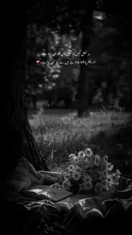 جب ہم یقین کرنے لگتے ہیں تو بدل جاتے ہیں لوگ #fyp #deepwords #urduquotes #fyppppppppppppppppppppppp #tiktokviral #aestheticvedio #1millionauditon #sadpoetry @TikTok @TikTok Indonesia 