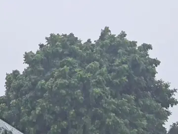 #background #somalitiktok #xamar #roob #viwesproblem 