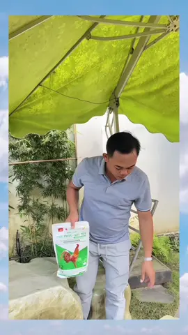 Men rải chuồng trại tiêu phân khử mùi bịch 1kg mua 2 bịch tặng 1 bịch #yeuthuongdongvat #ganoi #gatre #baotondongvat #tieuphankhumui #menraichuong #vesinhchuongtrai 