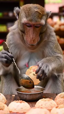 “AI-created content for fun. All characters are fictional.”#monkey #dance 🤣🤣🤣