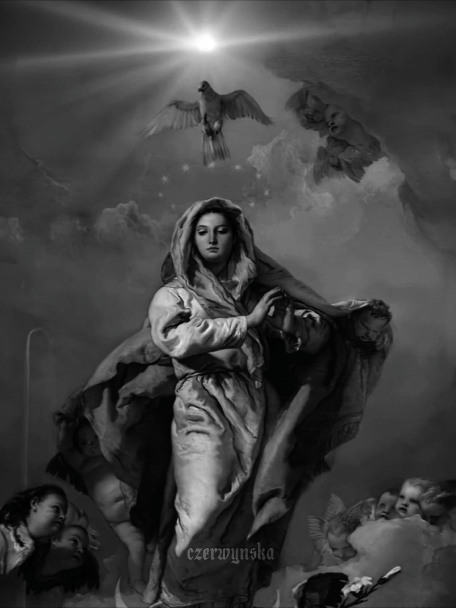Our Queen 👑 #catholic #catholictiktok #virginmary #avemaria #christianedit #christianity #christiantok #edit #edits #christiantiktokcomunity #fypシ゚ #fyp #popeleoxiv 