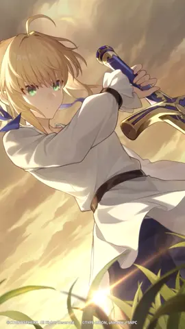 A Thankless Coronation — Fleeting Glimmer #HonkaiStarRail #HoYoverse #Saber #HSRxFate_UBW