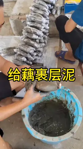 I didn't expect the lotus root with mud to be artificially wrapped # Lotus Root