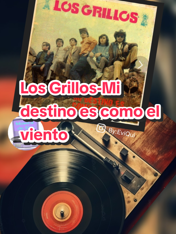 Los Grillos - Mi destino es como el viento Del disco 