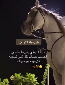 #عبرات_من_القلب💔💔 #thailand #صباح_الخير #اكسبلور #flypシ 