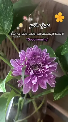 صباح الخير ….لا نفسنا التي تستحق الخير ، والحب ، والكثير من الفرح • #صباحكم #explorepage #احساس #فضل_شاكر  @Mai #CapCut 