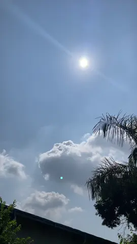 Mentahan ngab #stroy26 #fyp #mentahanvideo #mentahanvidio #mentahan 