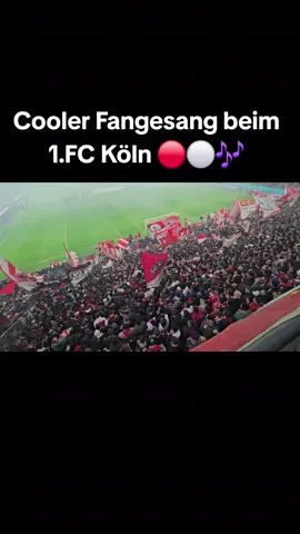 Ja du bist mein Verein, und wirst es immer sein, 1.Fußballclub Köln 🔴⚪️🎶 #bundesliga #fußball #ultras #effzeh #fangesang 