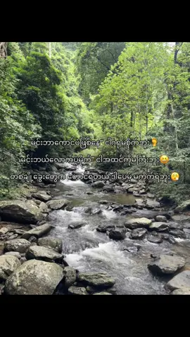 တစ်ချို့ခွေးတွေက တတ်တ်ကိုရှိနေတာကွာ🥲🤣။