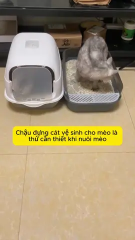 Chậu đựng cát vệ sinh cho mèo #chaudungcatchomeo #chaudungcatvesinh #mymycat #dodungcat #meo #thucung #nhavesinhchomeo #nhavesinhchomeocaocap 