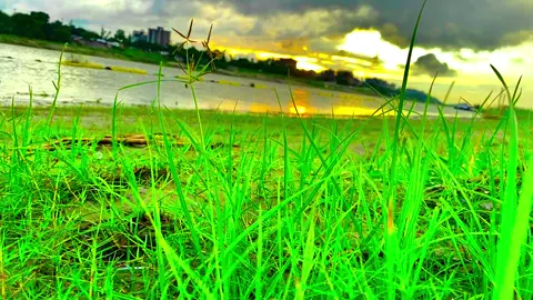 #আনিসুর_রহমান_আশরাফী💖💖 #ইসলামিক_ভিডিও_🤲🕋🤲 #tiktok9999264 #🍀🌻🍀axanirul #tiktok999 
