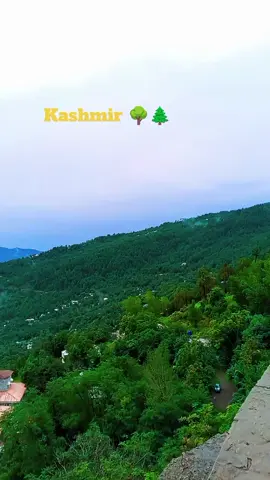 Kashmir 🌳🌲