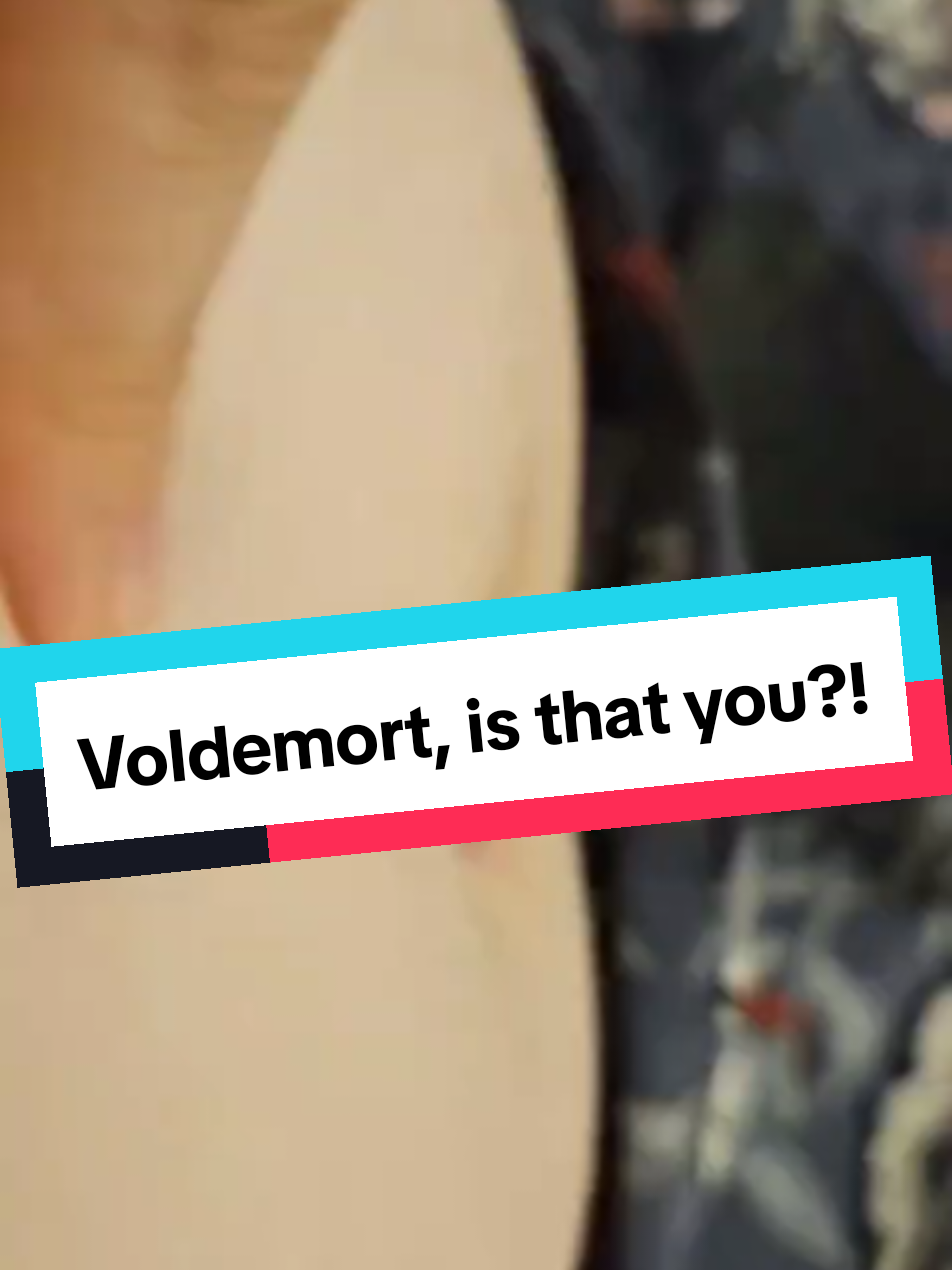 Surely I'm not the only who sees it? 🤣 #PregnancyHumor #fypシ #VoldemortBellyButton #HarryPotter #FYP #MomLife #Trending  #Funny #Viral 