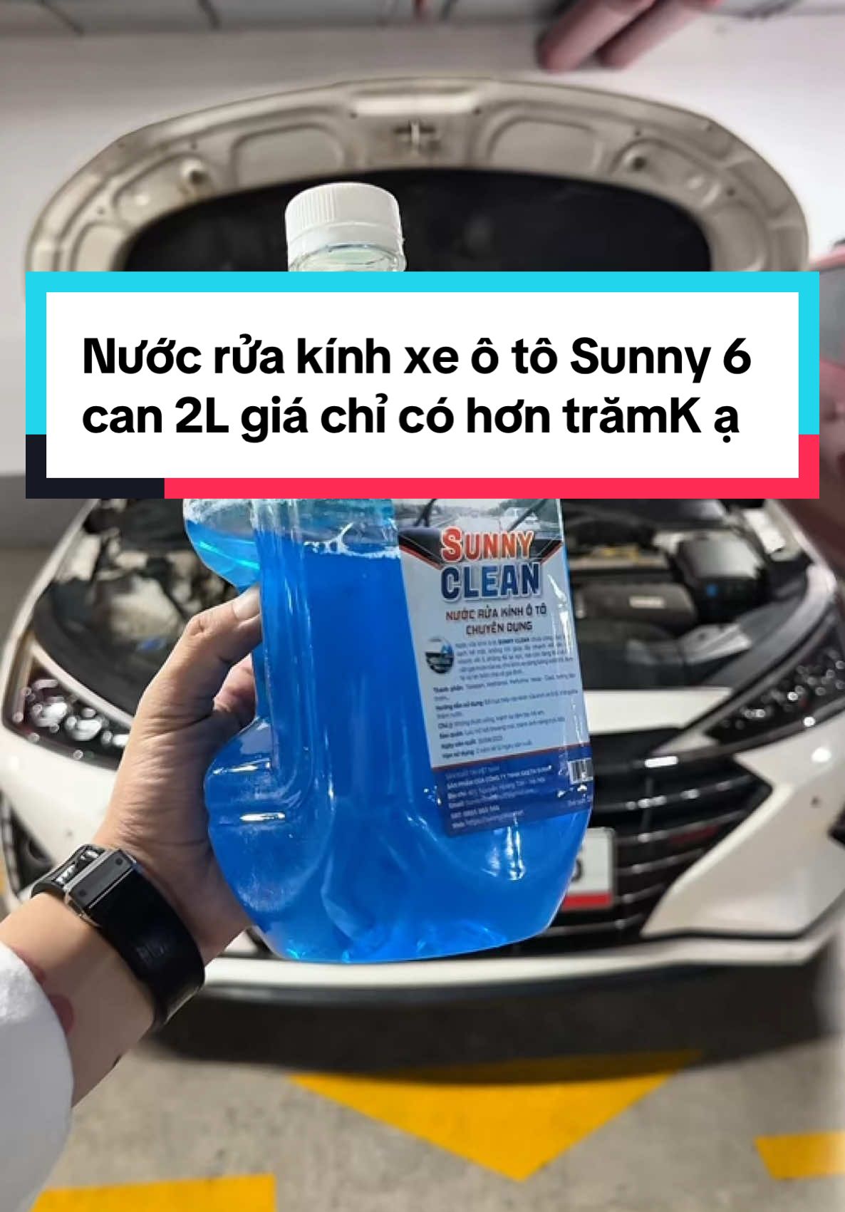 Nước rửa kính xe ô tô Sunny , 6 can 2L giá chỉ có hơn trăm k thôi mng ạ . Tính ra mỗi can có hơn 2 trục cành , quá ngon luôn . #nuocruakinhoto #nuocruakinhsunnyclean #nuocruakinhxehoi 