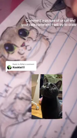 Replying to @Åțłăş  Love Kookie!! I’m really enjoying doing these I promise i’m doing as many as I can! #cat #catdrawing #drawing #fyp #relatable #brainrot #art #drawings #catsoftiktok #catlover #meow 