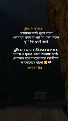 #তুমি কি ভাবছো তোমাকে আমি ভুলে যাবো তোমাকে ভুলে যাওয়া কি এতই সহজ  তুমি কি এতই সস্তা!  তুমি হলে আমার জীবনের সবথেকে  ভালো ও সুন্দর একটা অধ্যায়! আমি  তোমাকে মনে রাখবো আর আজীবন  ভালোবেসে যাবো 😊❤️‍🩹 আমার প্রিয়#for you #for bag #viral #video #salma #kahnm 