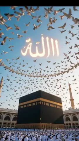 #creatorsearchinsights #unfrezzmyaccount #trending #islamic_video #ইসলামিক_ভিডিও_🤲 #respect #zeeshantricks #foryoupage #10M_views.