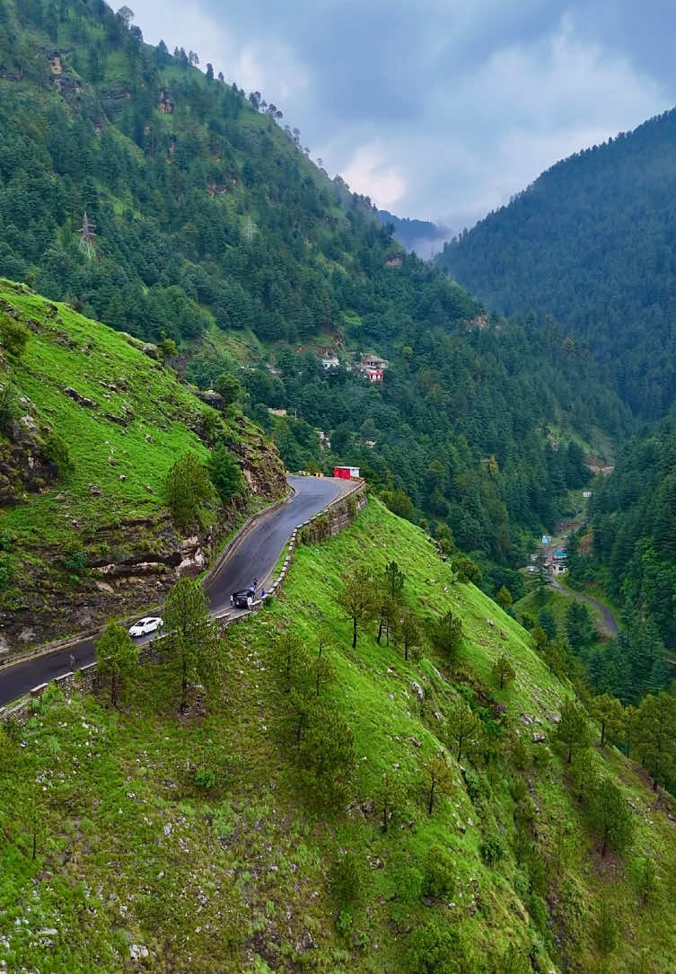 Beauty Of Abbottabad🥰♥️ #beautyofpakistan #beautyofabbottabad #explorebeauty #dronevideo #capturenature #naturelover ##droneshot #fyp 