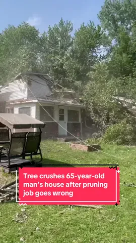 “My girlfriend and I lost everything” #dailystar #treecutting 