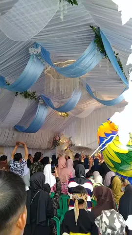 Sawer Panganten 🫶🏻 Live music by Iteung Grup Ardilaya Putri🔥🥰 #pengantinsunda #adatsunda #sawersunda #ciamis #sawersungkem 