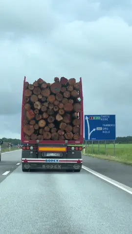 How one movie damaged an entired generation 😅 If you know you know #finaldestination #millennialsoftiktok #millenials #millenialsontiktok 