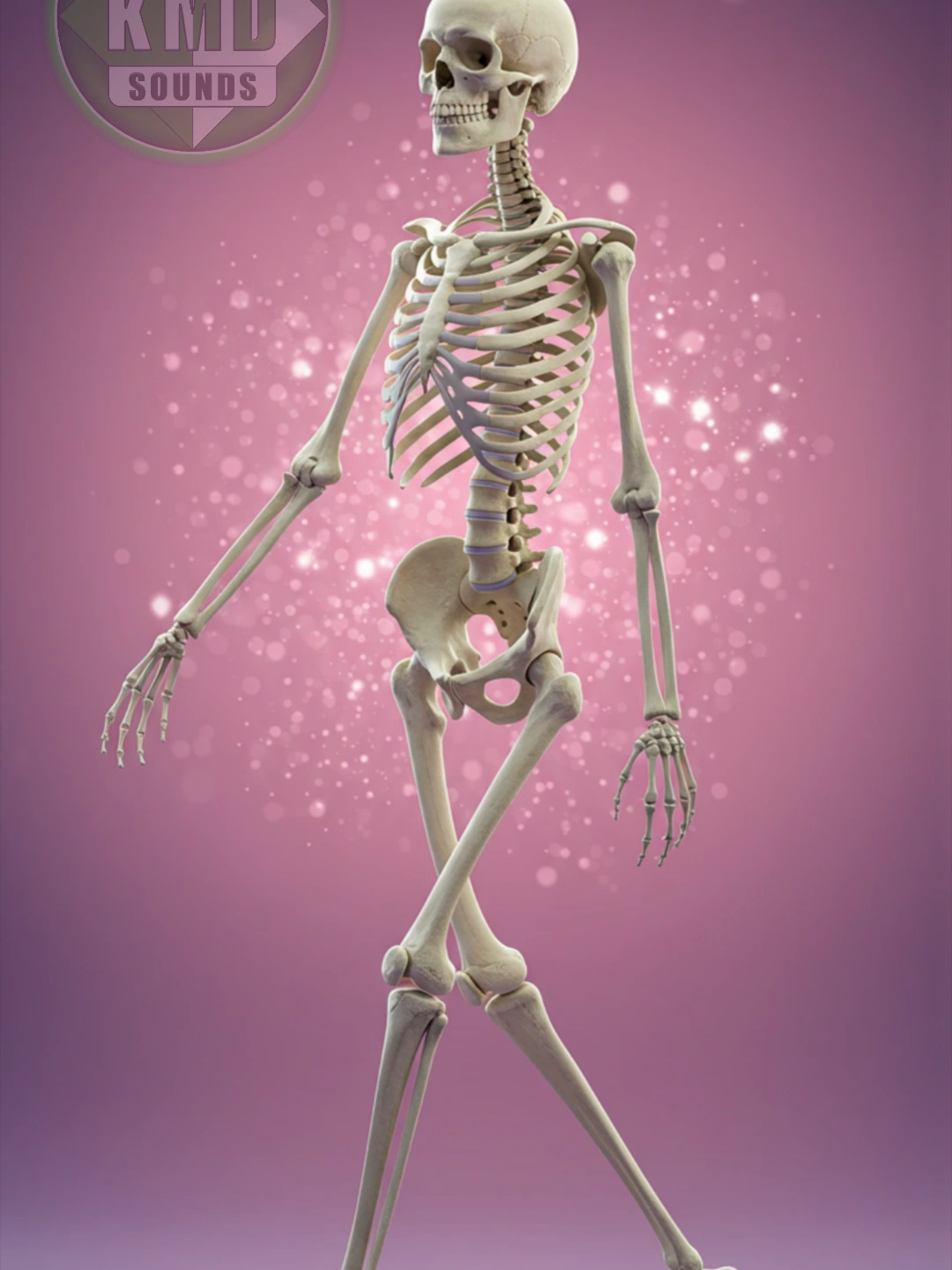 SONIDO DE ESQUELETO CRUJIENTE ☠️🦴 – SONIDOS DE TERROR – EFECTOS DE SONIDO ☠️ Escucha el sonido inquietante y crujiente de huesos de un esqueleto moviéndose. Perfecto para ambientar escenas de terror, Halloween, películas de miedo o videojuegos de suspenso. 🎧 Sonido realista y espeluznante que genera una atmósfera de miedo y misterio. 👍 SUSCRÍBETE para más sonidos de terror auténticos y comenta qué criaturas o efectos quieres escuchar. ✅ SONIDOS DE ANIMALES: https://youtube.com/playlist?list=PLgqguBieuCdscdFHjMZpvsEICPu0iedfv   ✅ SONIDOS DE INSTRUMENTOS MUSICALES: https://www.youtube.com/playlist?list=PLgqguBieuCdtKAtVKPfZd_oSX2xp3eVb9   ✅ SONIDOS DE VEHÍCULOS: https://www.youtube.com/playlist?list=PLgqguBieuCduofKHmsiU8srWrLlA1GdsQ   ✅ SONIDOS DE TERROR: https://youtube.com/playlist?list=PLgqguBieuCdtQm1gOGfG-X8r57mdinMnJ   ✅ EFECTOS DE SONIDO: https://youtube.com/playlist?list=PLgqguBieuCdti0vUO9iqYLUdy4YVZYHiH   ✅ SUSCRÍBETE AL CANAL: https://www.youtube.com/@sonidosKMD?sub_confirmation=1 tags:   sonido esqueleto, crujido huesos, sonido terror esqueleto, efectos sonido terror, sonido halloween, sonido huesos moviendose, crujido espeluznante, sonido esqueleto realista, sonido miedo, ambiente terror, efectos sonoros de miedo, audio esqueleto, sonido misterio, sonido película terror, efectos especiales sonido, sonido para videojuegos terror, audio miedo realista, sonidos halloween, efectos sonido fantasmas, sonido horror twit:   #sonidoesqueleto #terror #efectosdesonido #halloween