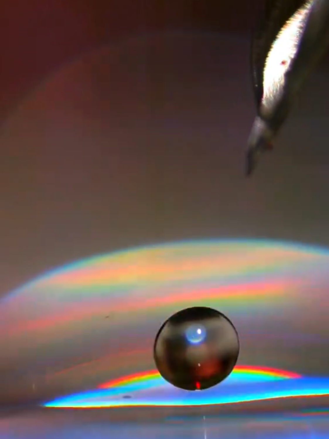 Goutte d’eau 20 000 fps #slowmotion #experiment #scienceexperiments #satisfy #fyp #physics 