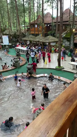 Forest guci #yfpシforyou #fyppppppppppppppppppppppp #forestguccitegal #wisataairpanasguci #tegaljawatengah 