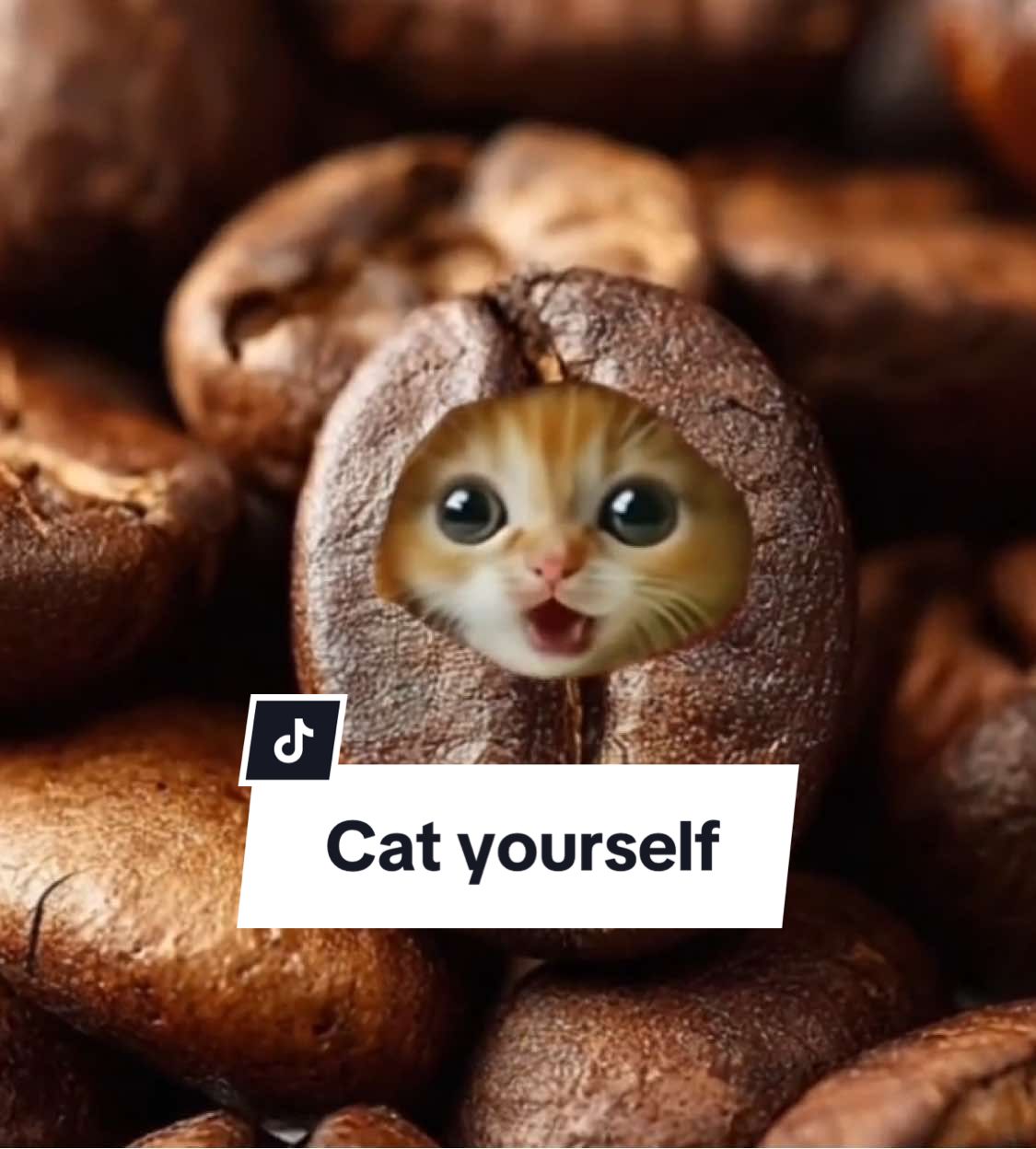 「Cat yourself」 #cat #AI #歌う猫 