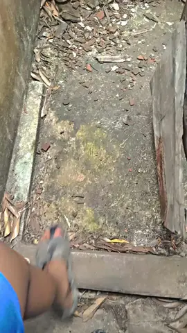 🎌#fypシ゚viral #untul #ab1 