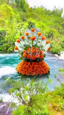 #CapCut #beautiful #flowers #foryou #fyp #viral #tik_tok 