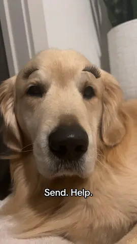 Someone come get her 😂 