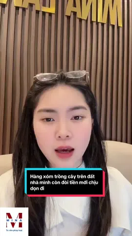Hàng xóm tự ý trồng cây trên đất nhà mình còn ngang ngược đòi tiền@LUẬT MINA - TƯ VẤN PHÁP LUẬT @Luật sư Hoàng Minh #datdai #phapluat #luatsu #chiemdoat #tongtien #tuvan #xuhuong #viral 