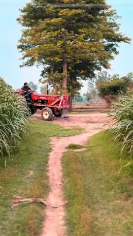 Jutt mehkma 🫣❤️#foryoupageofficiall #trending #CapCut #tarar⚜️🔥 #viralvideo #forupage #unfreezemyacount #juttlife🔥 #juttmehkma🔥✌️ #tarar🌸@Sani Gondal906 @احتشام گوندل @Imtiaz Nawaz BoSal 💥💌 @گلبازتارڈ🥀 @ع_ل_ی🚩 