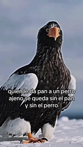 #motivacional #motivacion #reflexion #amor