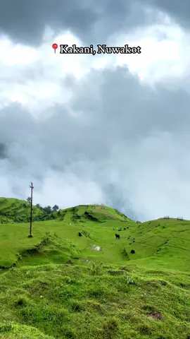 Lost in the greenery 😩🍀 #kakani #nuwakot 